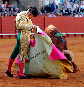 Qu&eacute; suerte, bendita suerte, ser de Morante.