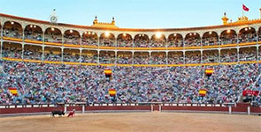 Qué falta hacen las broncas en los toros. Qué falta hacen las broncas en los toros.