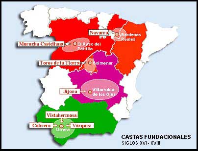 Castas fundacionales del toro bravo en la Peninsula Iberica
